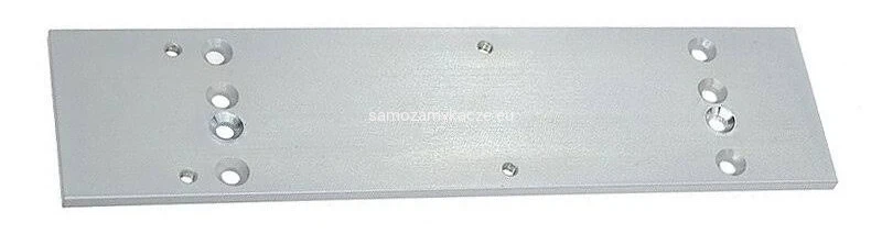 TS80 PŁYTA SREBRNA.webp