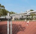 SAMSON 2_ZILV_2__1920px.jpg